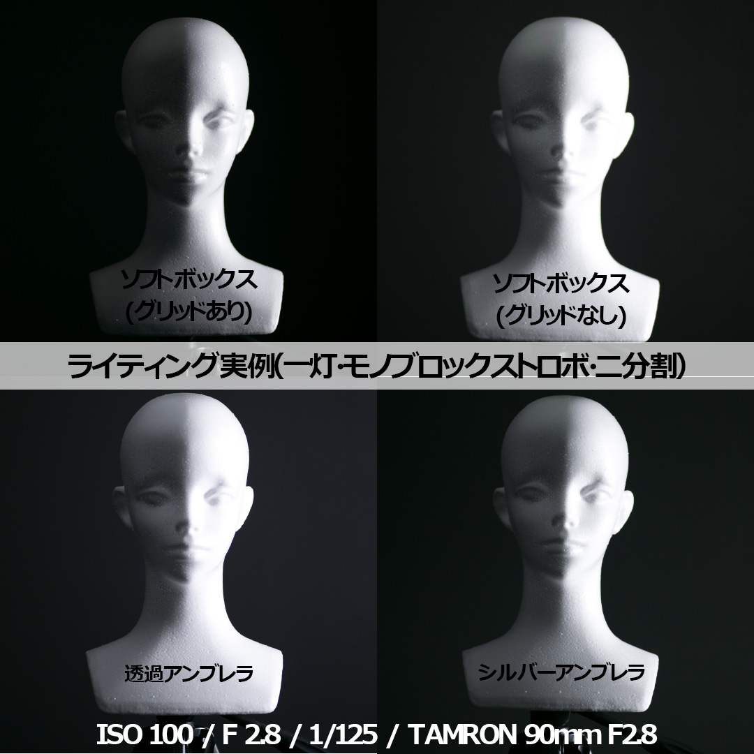 カメラ初心者必見！】1灯ストロボライティングにおけるソフトボックス・アンブレラ比較をお教えします！【スプリットライティング編】 - LUZZ  STUDIO