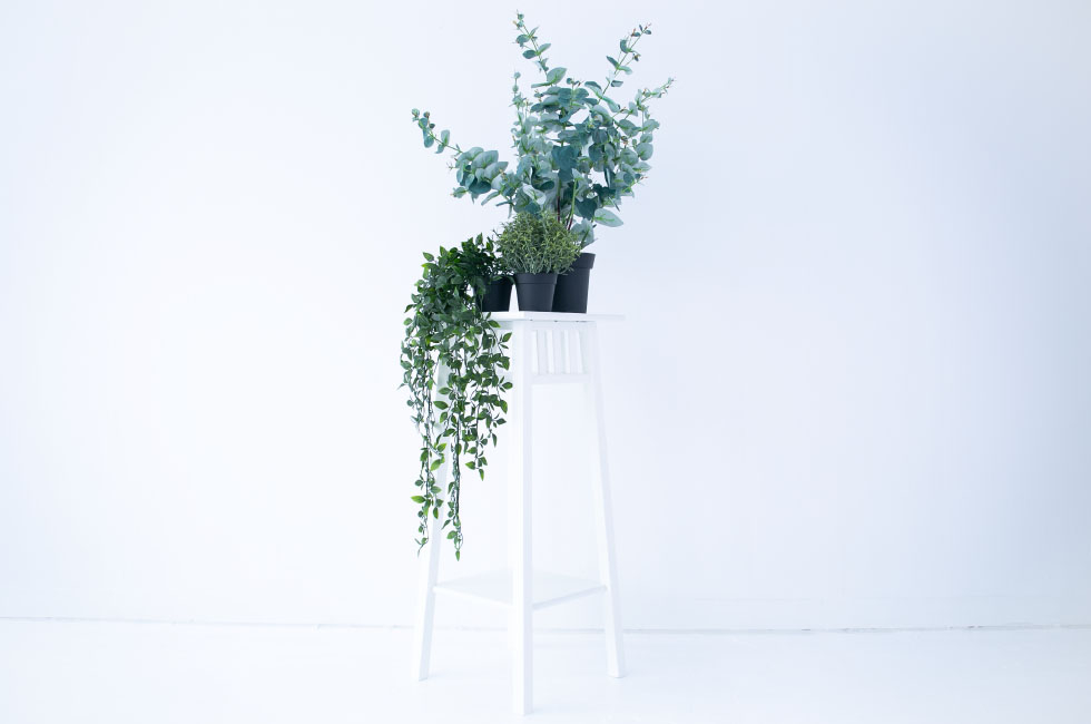 観葉植物(レプリカ)