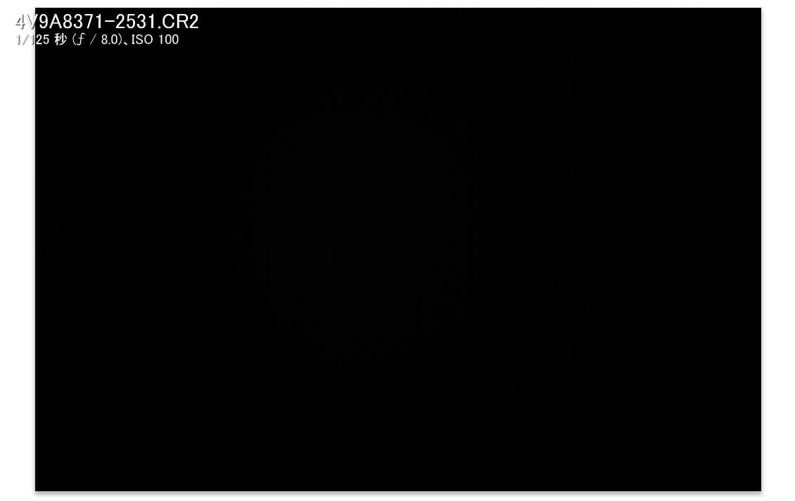 真っ黒に撮影した写真のデータのスクリーンショット
