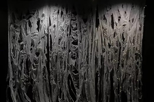 創作空間の作り込みによる、作品撮影音楽家、デザイナー、クリエイターなどのアーティスト写真