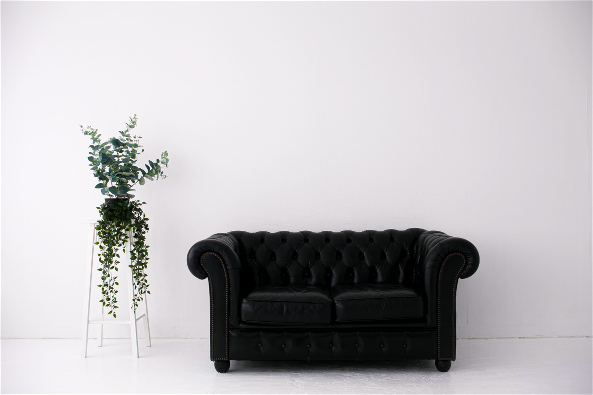 白ホリゾント 白い部屋 大阪本町撮影スタジオ Luzz Studio