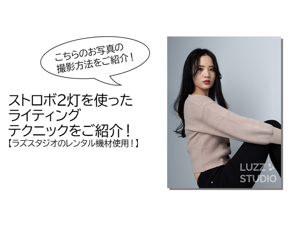 各社対応！ライティング撮影セット！カメラマン必須アイテム！遠隔操作！ストロボ！ デイリーストロボ DE-250 ソフトボックス基本セット - 撮影機材
