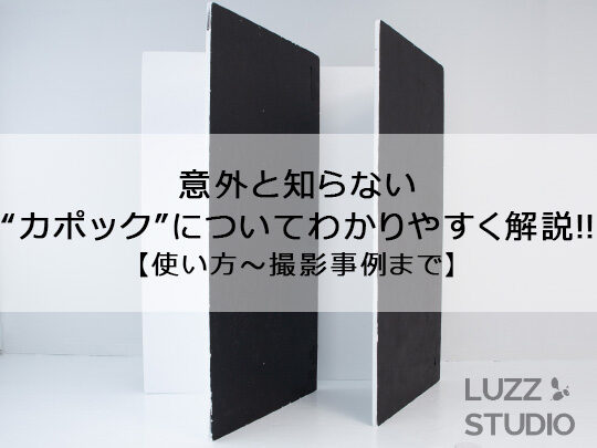 意外と知らない カポック についてわかりやすく解説 使い方 撮影事例まで Luzz Studio